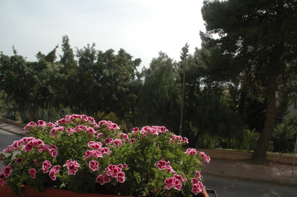 B&B Agora A 2 Minuti Dalla Valle Dei Templi E 5 Minuti Dal Mare Bed & Breakfast Agrigento